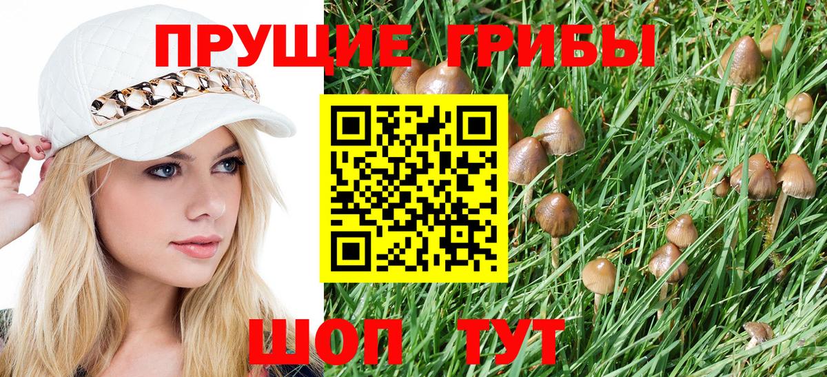 Клин  Галлюциногенные грибы Psilocybine cubensis  Псилоцибиновые грибы ЛСД  Вход с VPN 